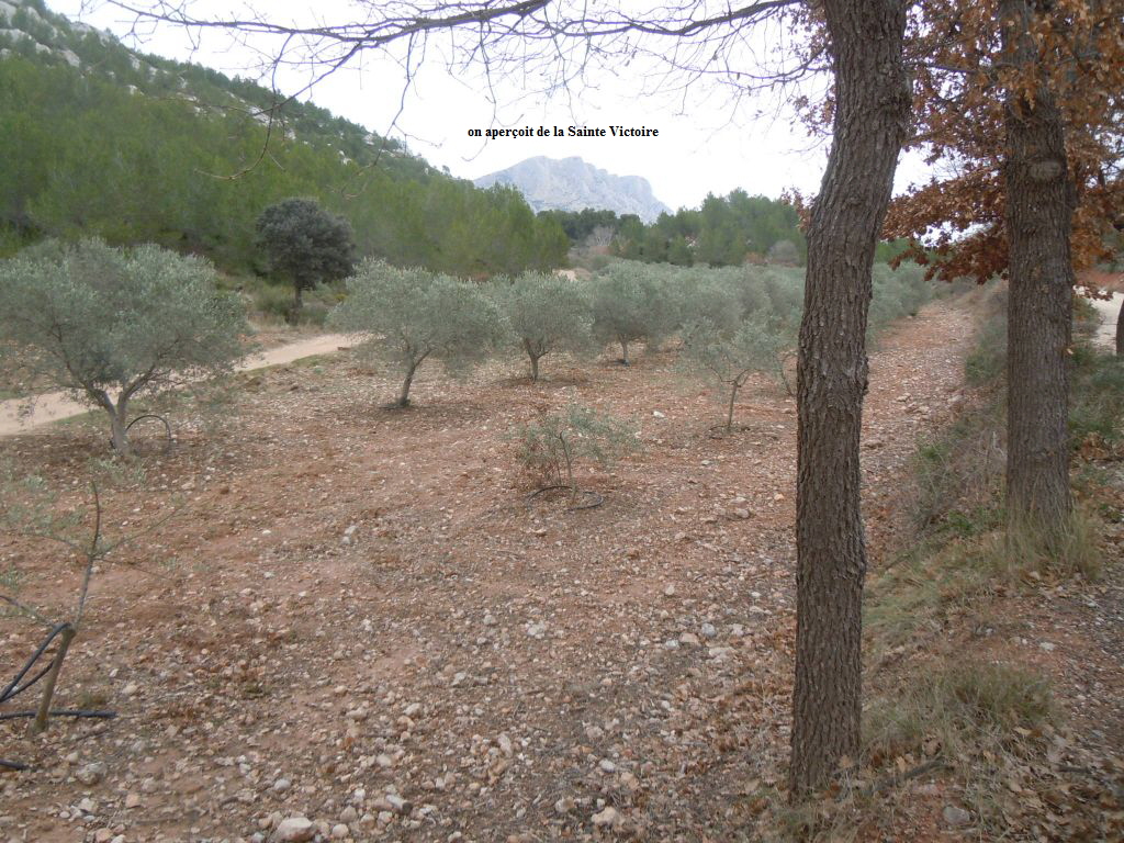 on aperoit de la Sainte Victoire