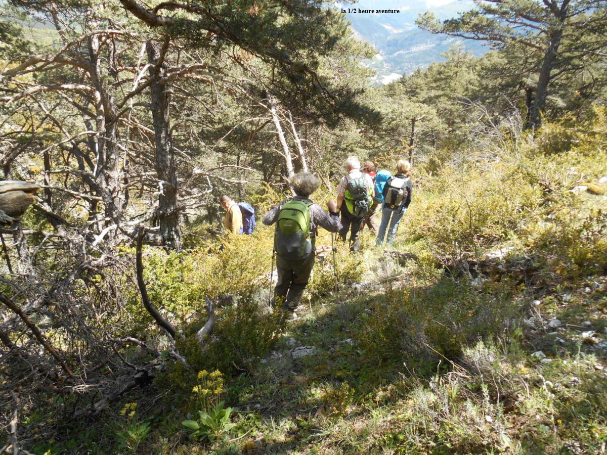l                                                                                      la 1/2 heure aventure