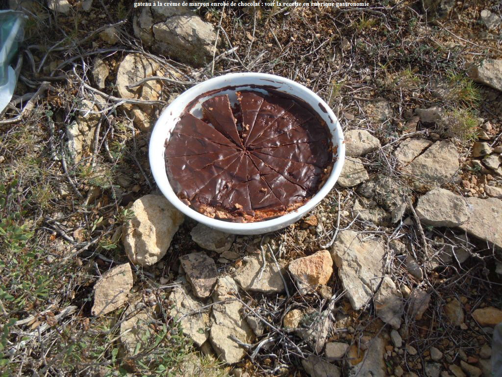 gateau  la crme de marron enrob de chocolat : voir la recette en rubrique gastronomie