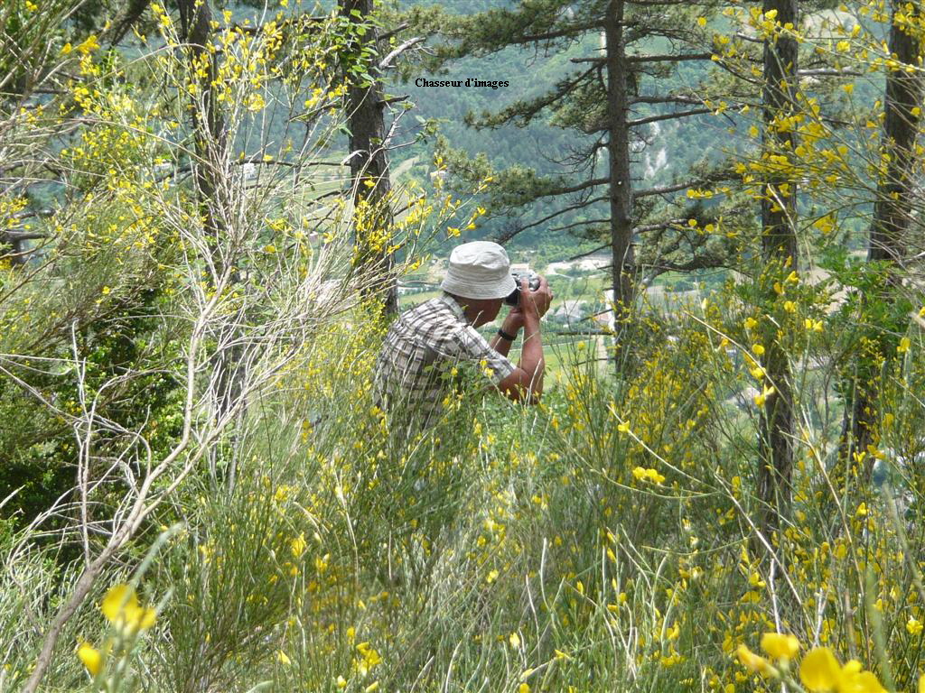 Chasseur d'images