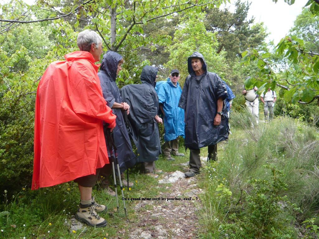 On a quand mme sorti les ponchos,  sauf ... ?
