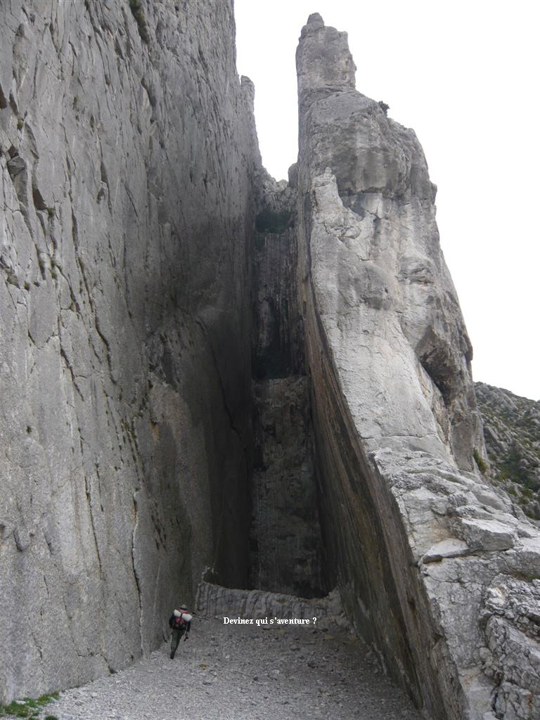 Devinez qui s'aventure ?