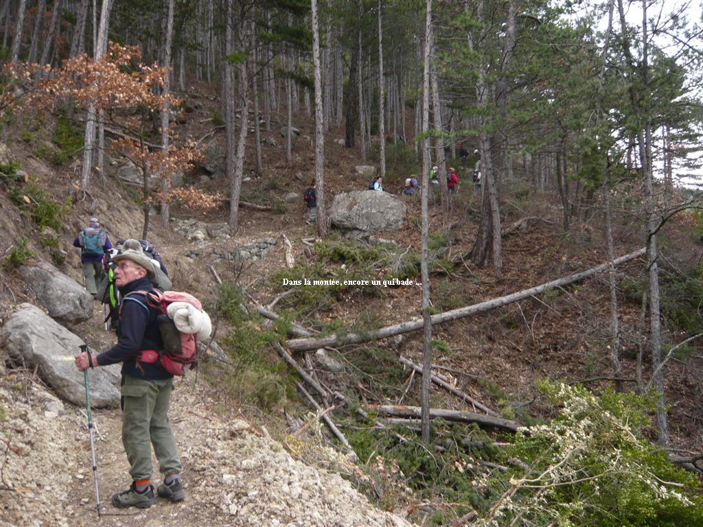 Dans la monte, encore un qui bade ...