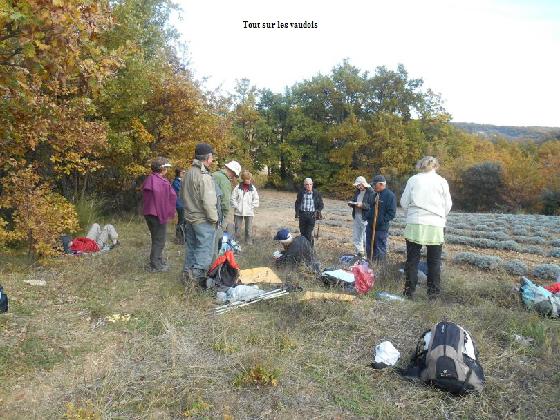 Tout sur les vaudois