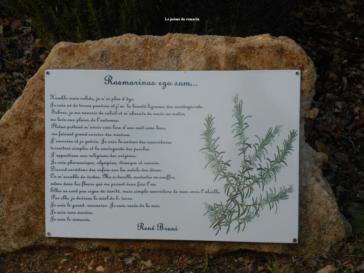 Le pome du romarin