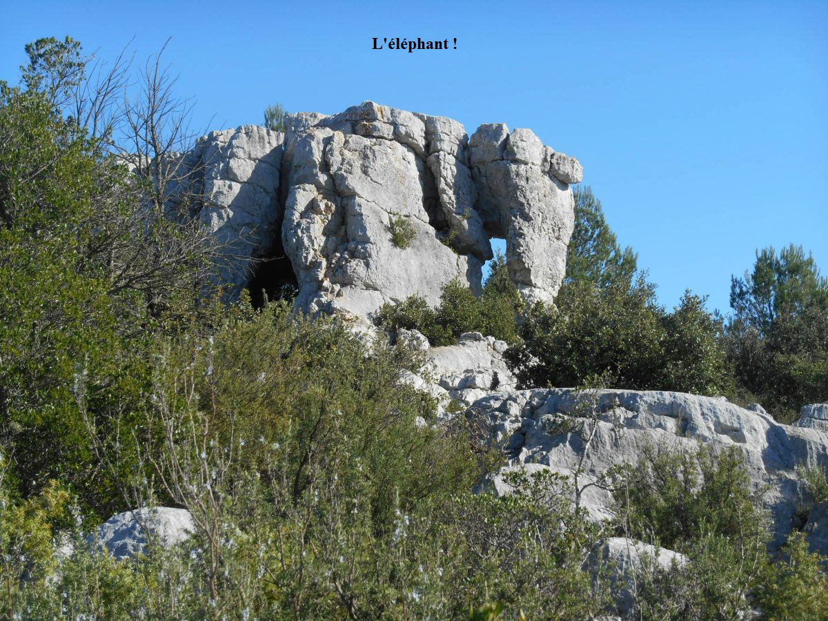 L'lphant !