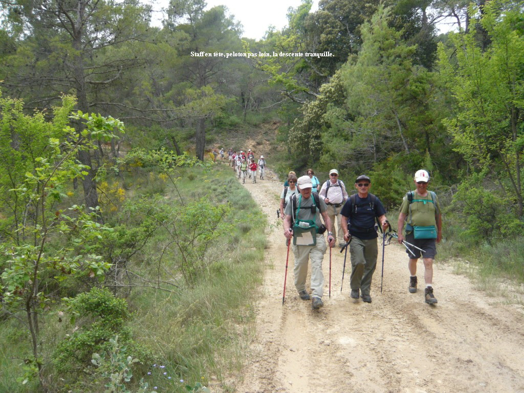 Staff en tte, peloton pas loin, la descente tranquille.