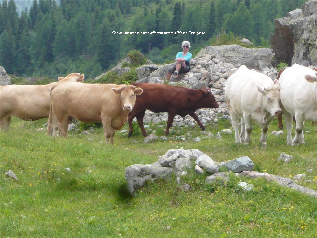 Ces animaux sont trs affectueux pour Marie Franoise