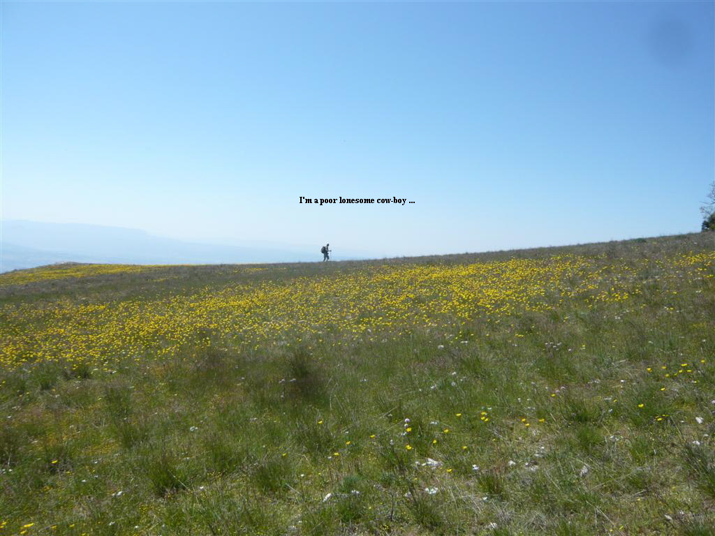 I'm a poor lonesome cow-boy ...