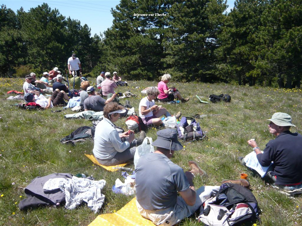djeuner sur l'herbe !