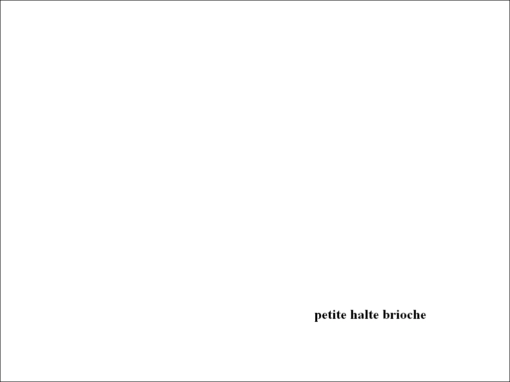 petite halte brioche