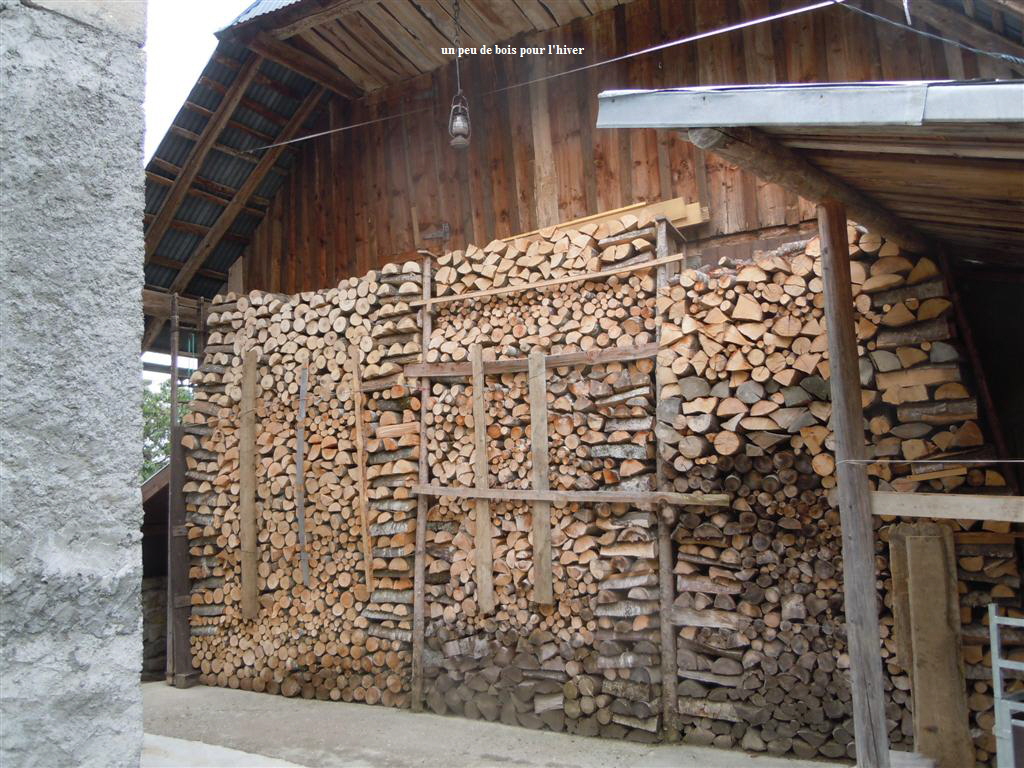 un peu de bois pour l'hiver