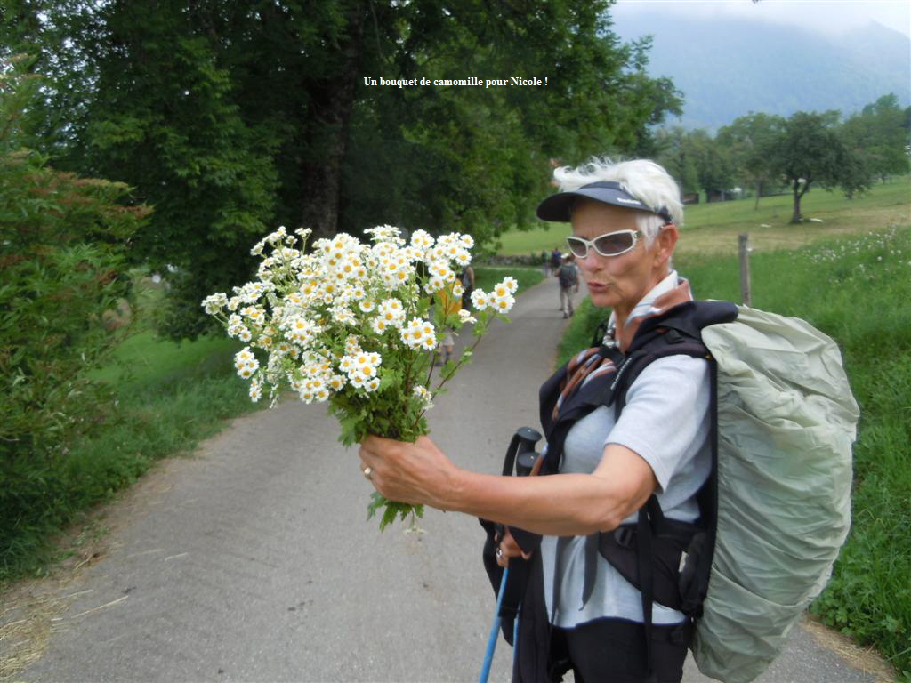 Un bouquet de camomille pour Nicole !