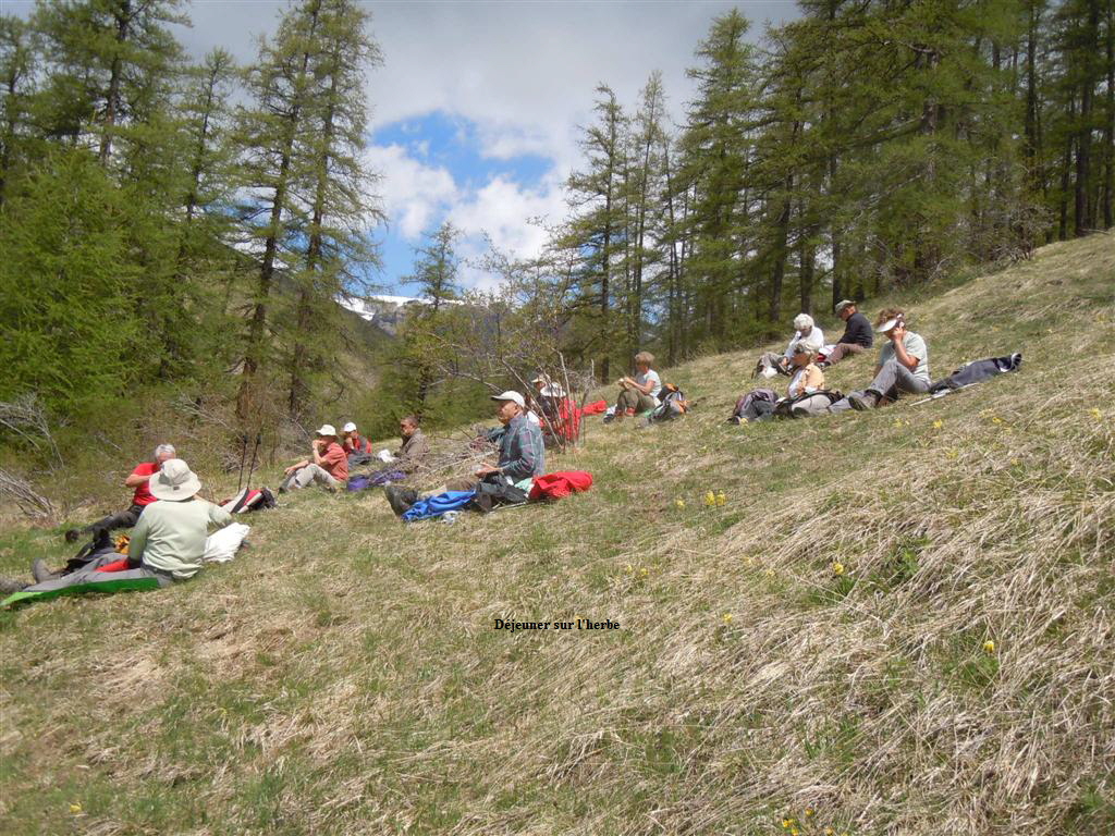 Djeuner sur l'herbe