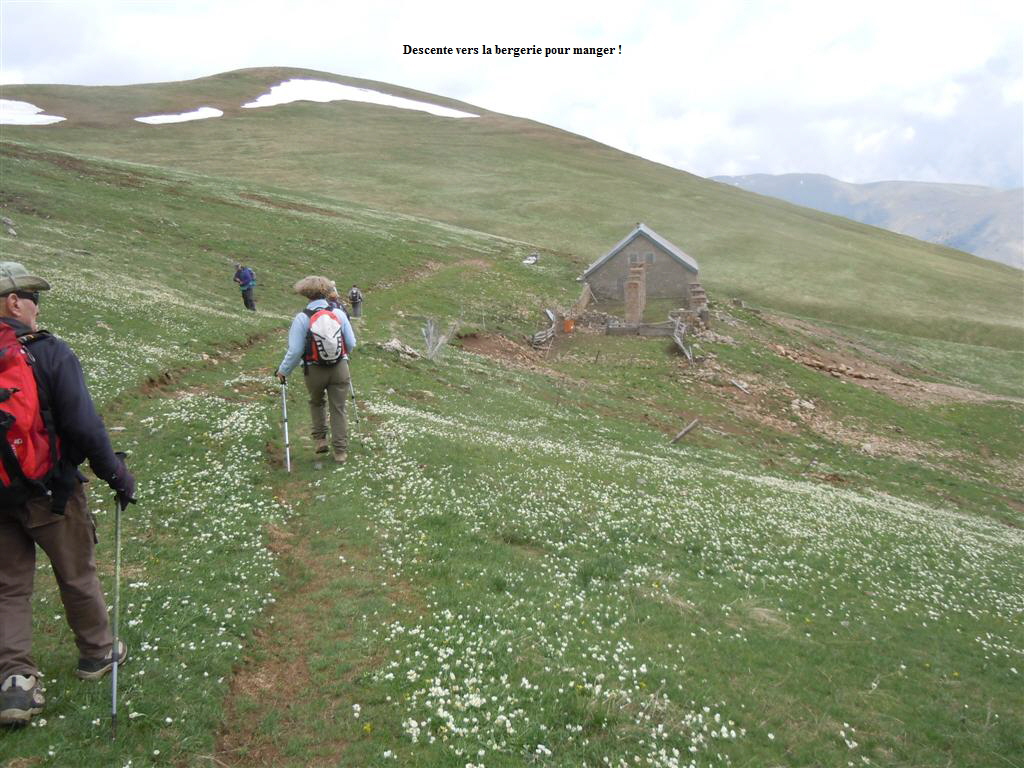 Descente vers la bergerie pour manger !