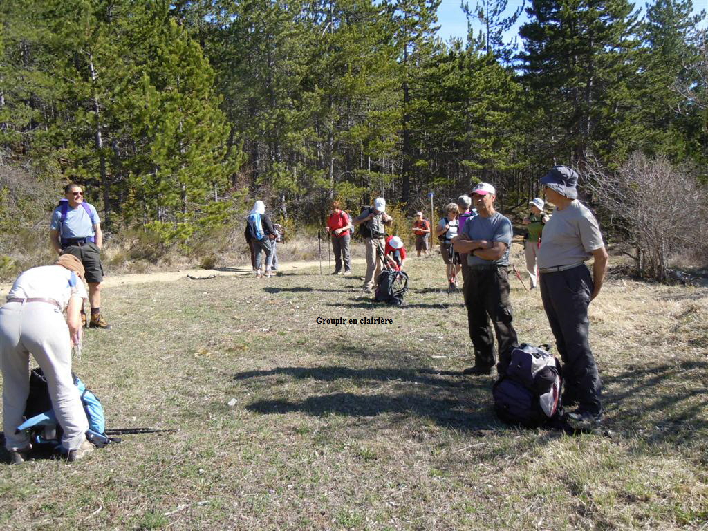 Groupir en clairire