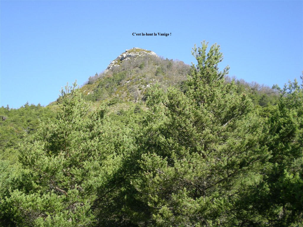 C'est la-haut la Vanige !