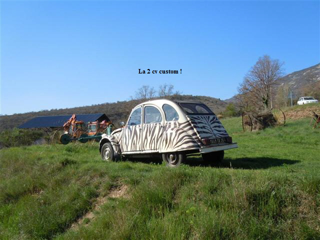 La 2 cv custom !
