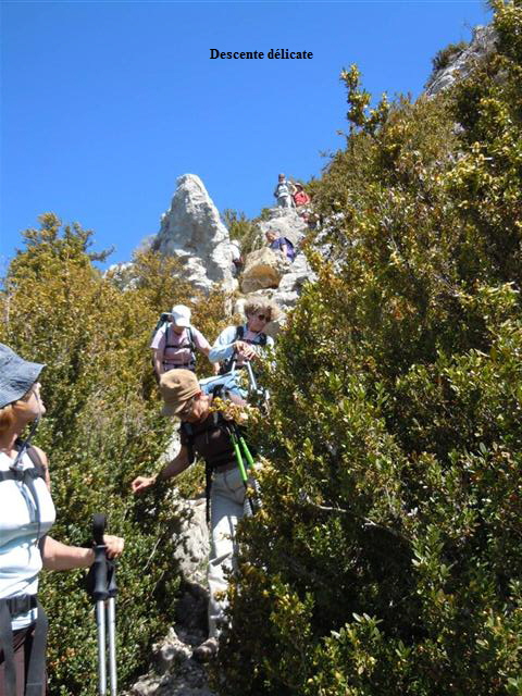 Descente dlicate