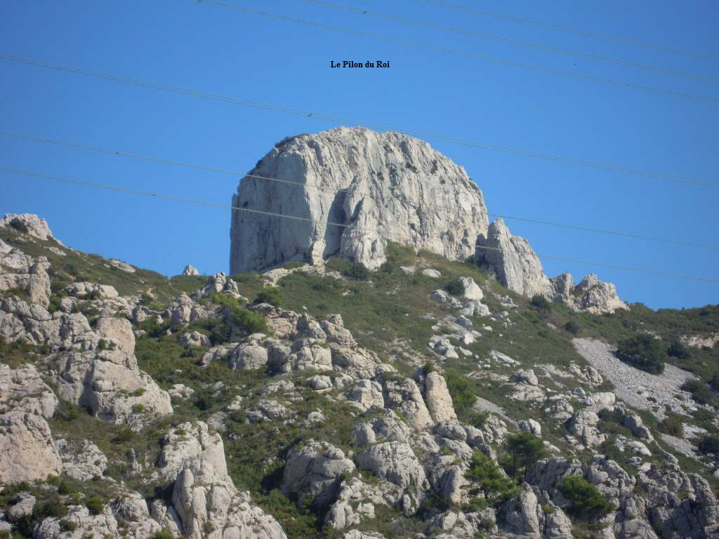 Le Pilon du Roi