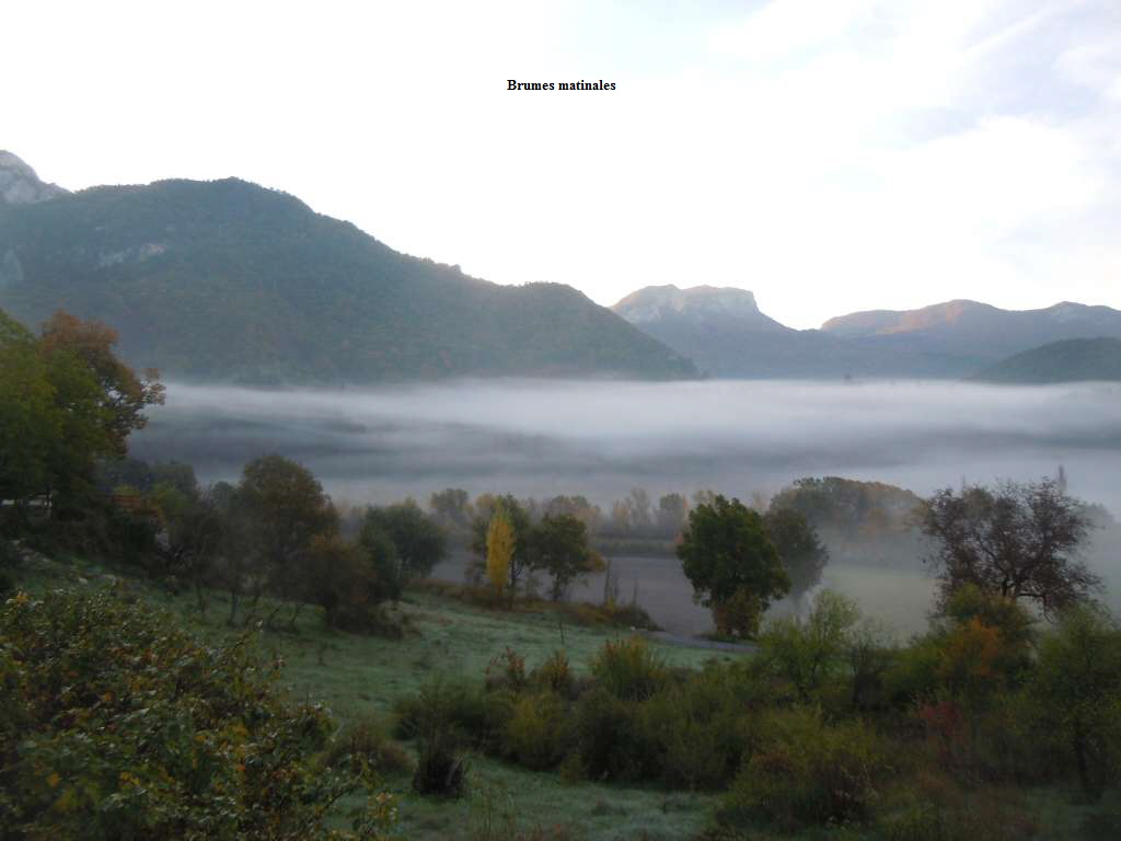Brumes matinales