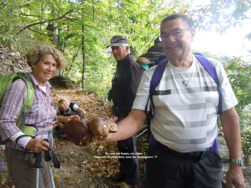 Ils sont pas beaux, ces cpes ?
ramasss en plein bois, sous les chataigners  !!!
