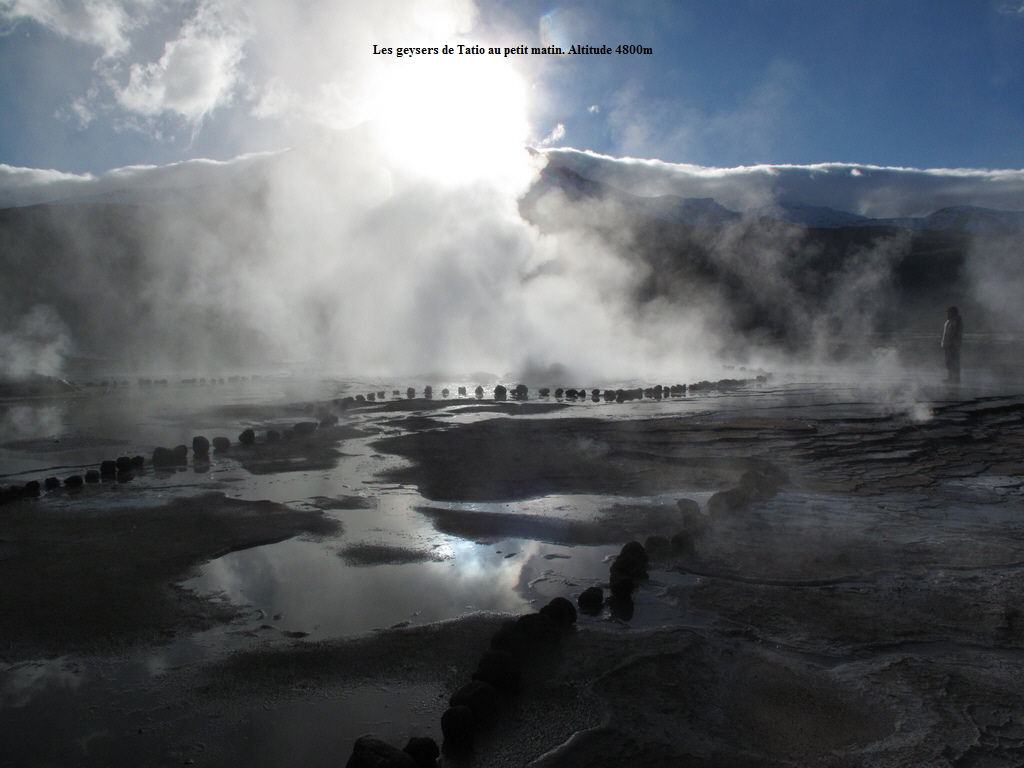 Les geysers de Tatio au petit matin. Altitude 4800m