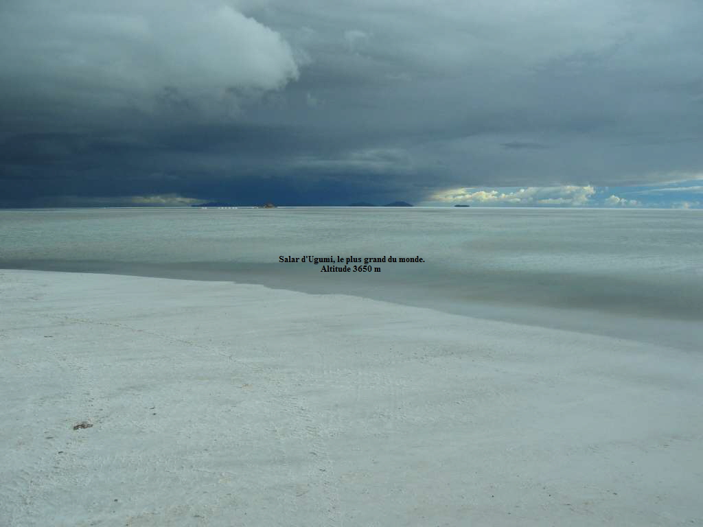 Salar d'Ugumi, le plus grand du monde.
Altitude 3650 m