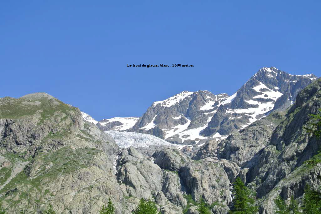 Le front du glacier blanc : 2600 mtres